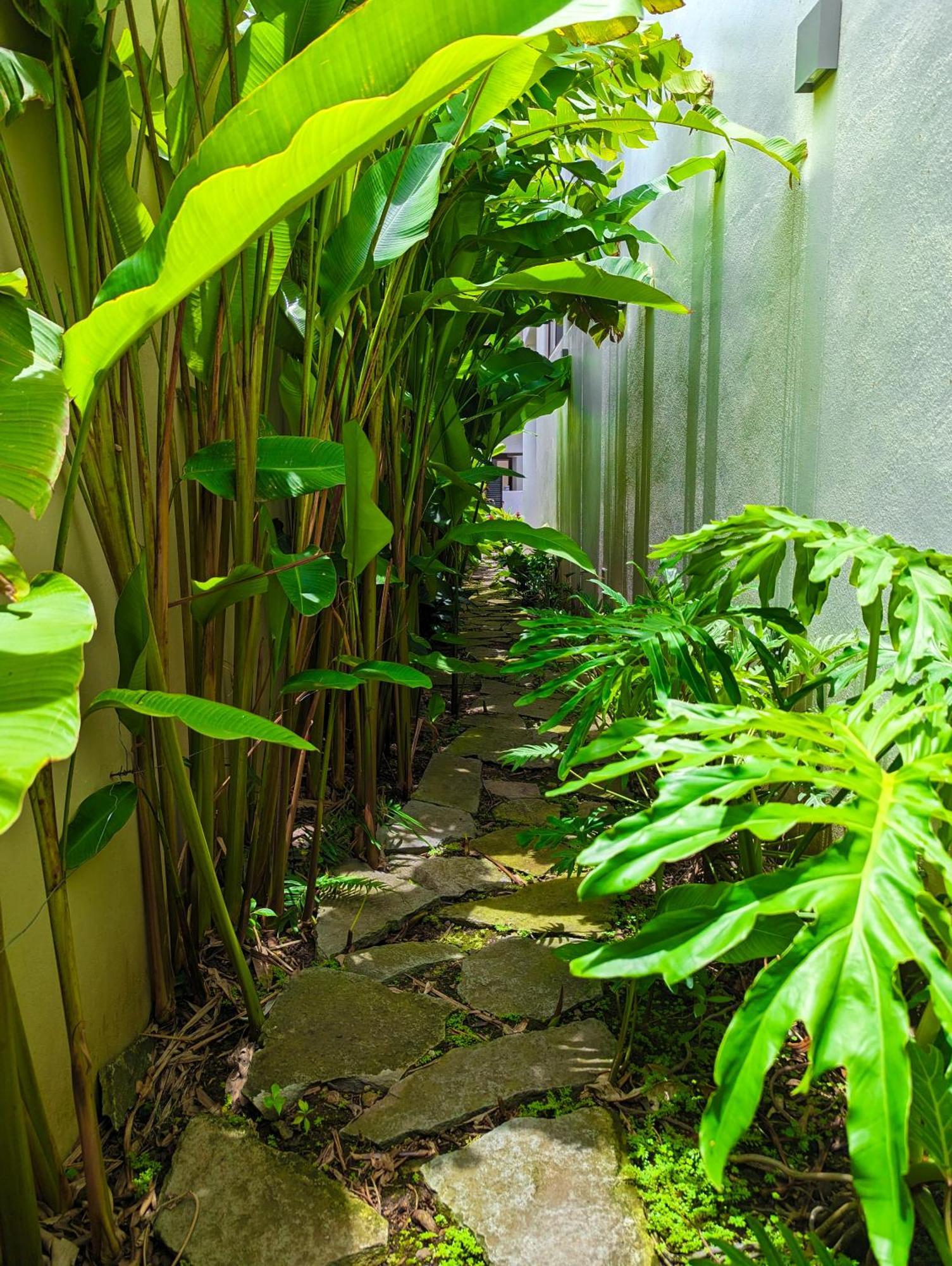 Los Gallos - Departamento Planta Baja ロ・デ・マルコス エクステリア 写真