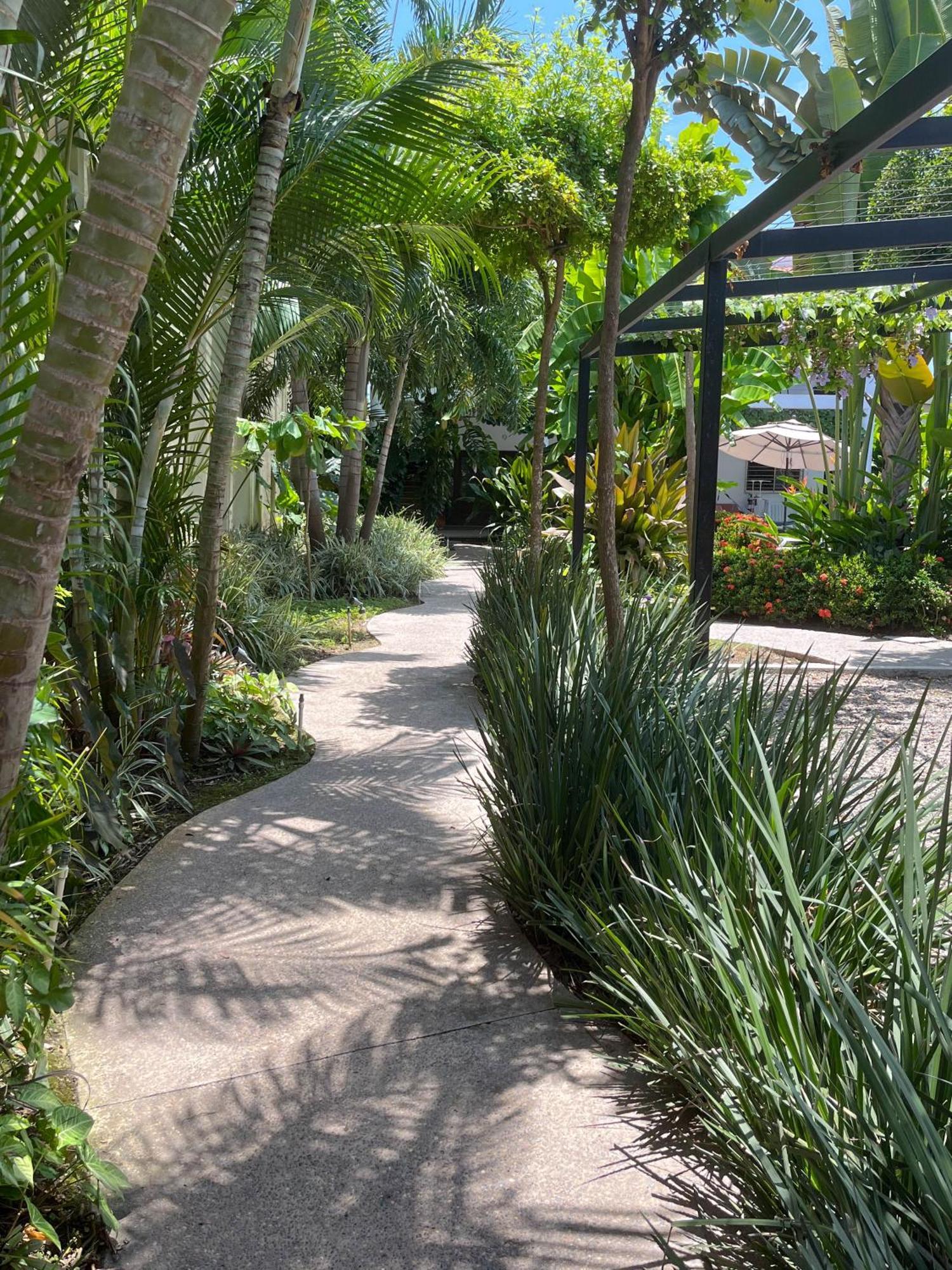 Los Gallos - Departamento Planta Baja ロ・デ・マルコス エクステリア 写真